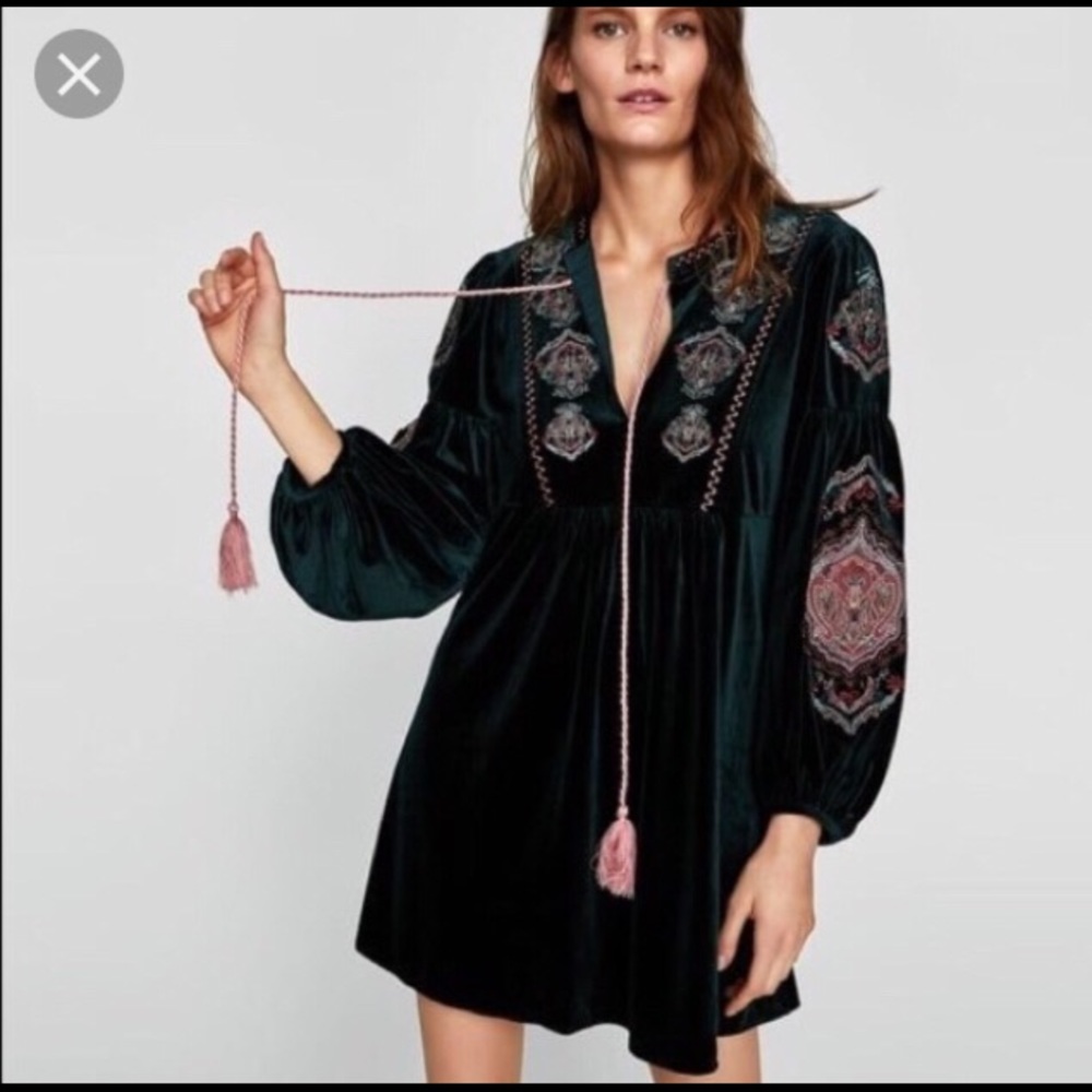 Zara green velvet embroidered dress